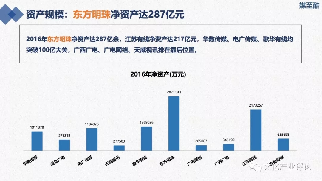 广播电视上市公司财务绩效报告