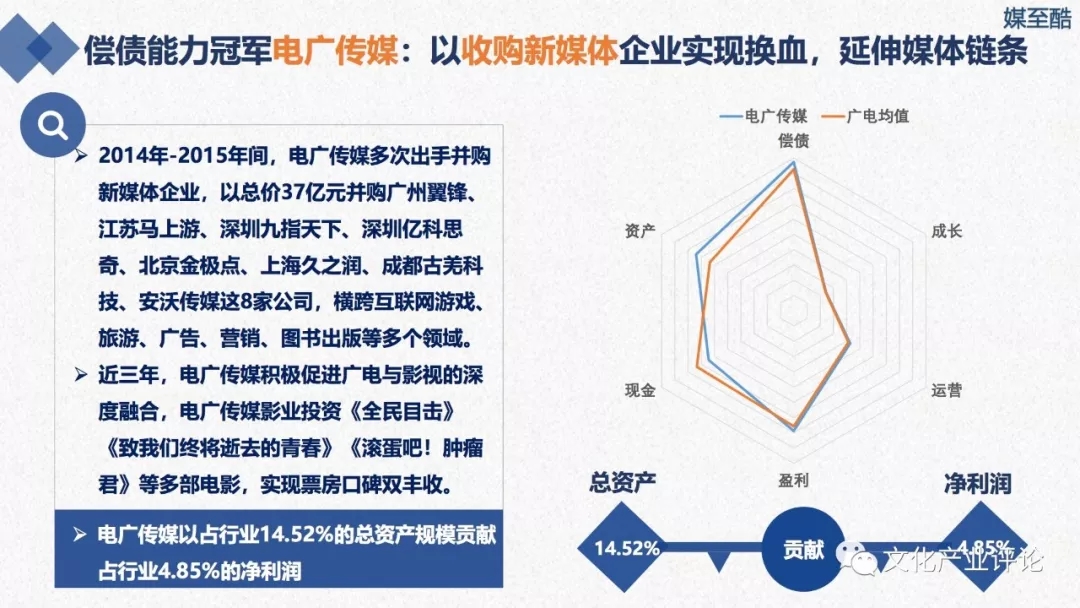 广播电视上市公司财务绩效报告