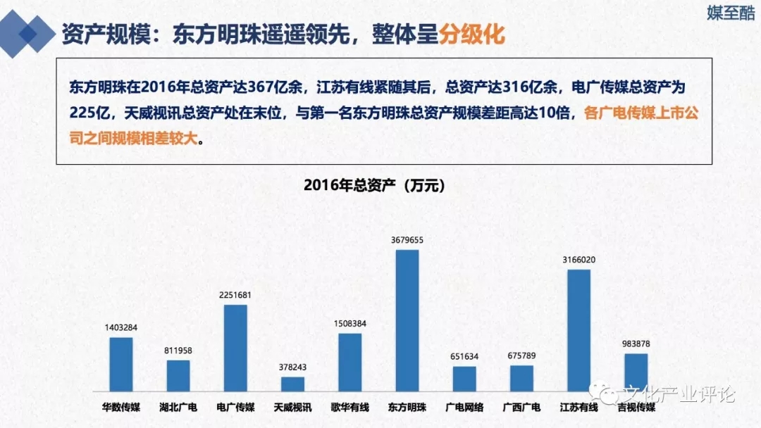 广播电视上市公司财务绩效报告