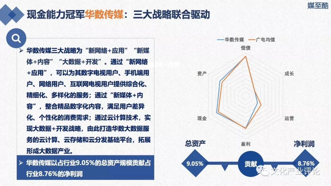 广播电视上市公司财务绩效报告