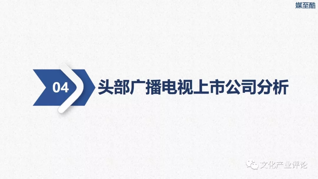 广播电视上市公司财务绩效报告