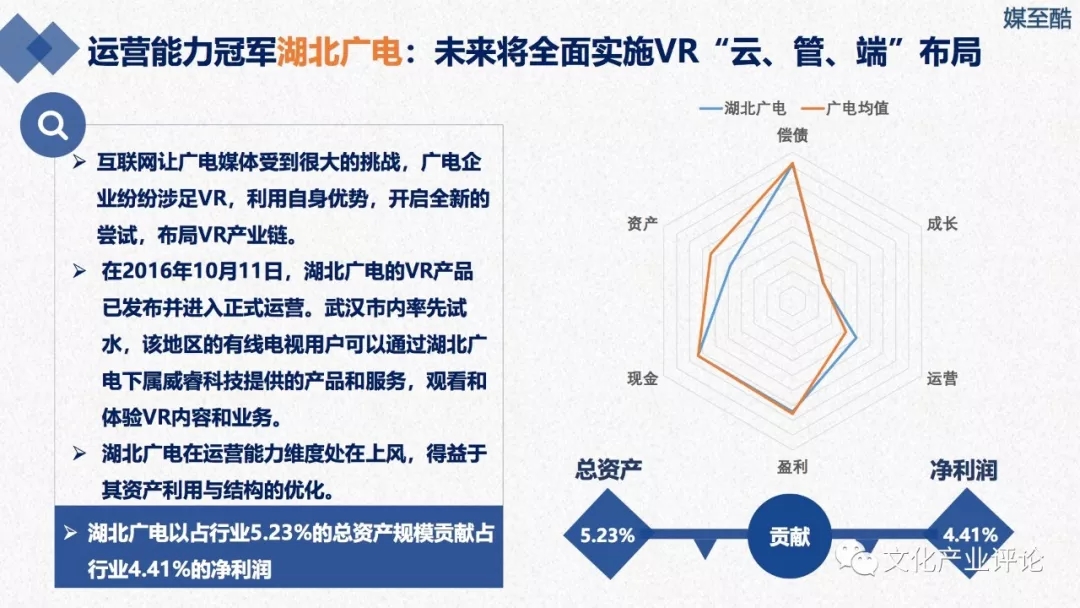 广播电视上市公司财务绩效报告