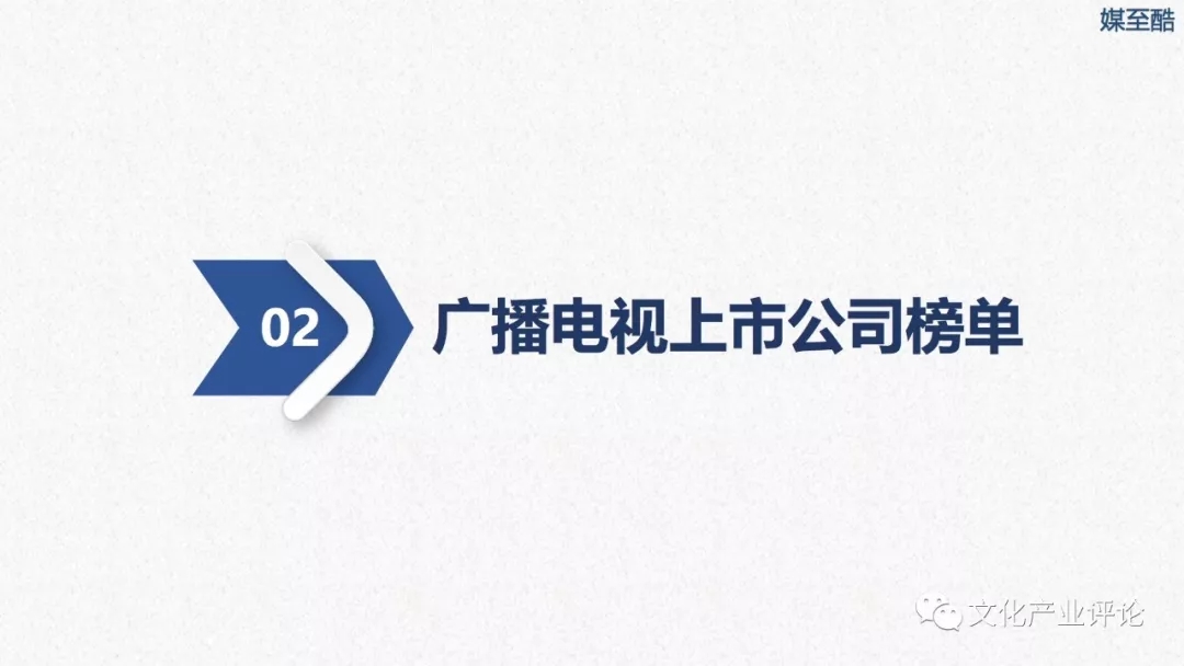 广播电视上市公司财务绩效报告