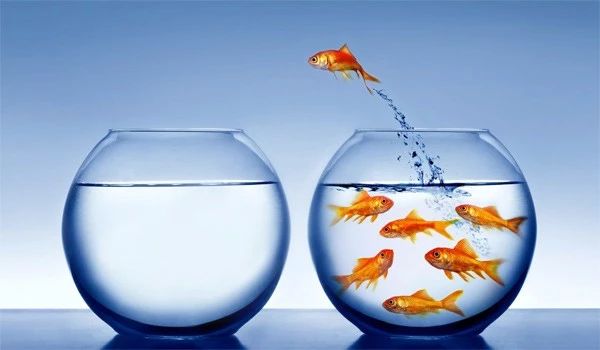 用户重回大屏 为何电视台生存环境依旧严峻