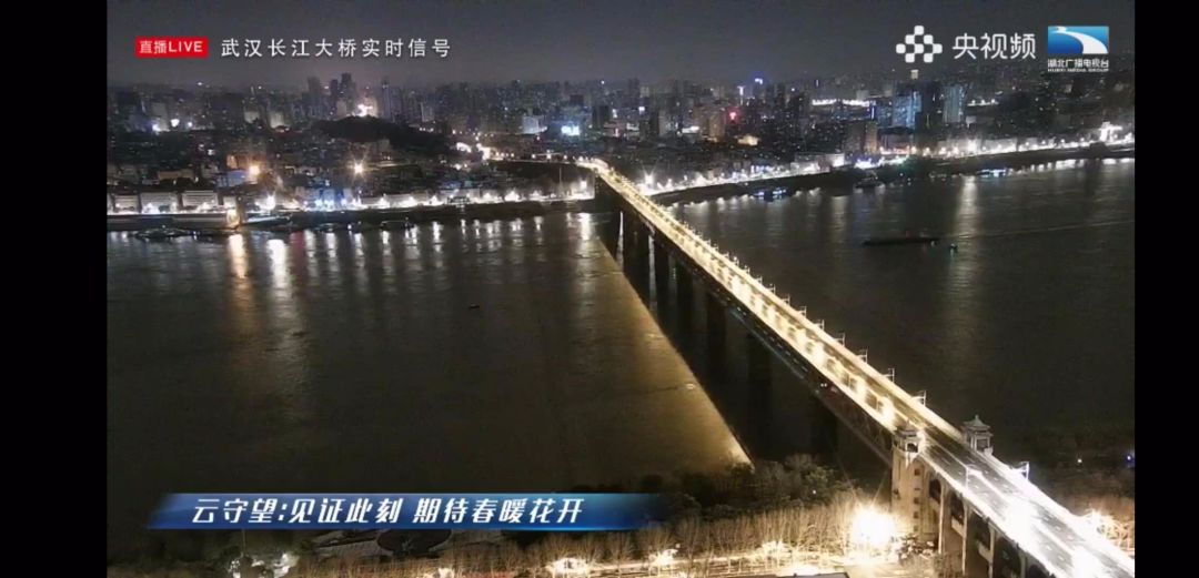 “云监工”变“云守望” 守护和见证一座城市的复苏