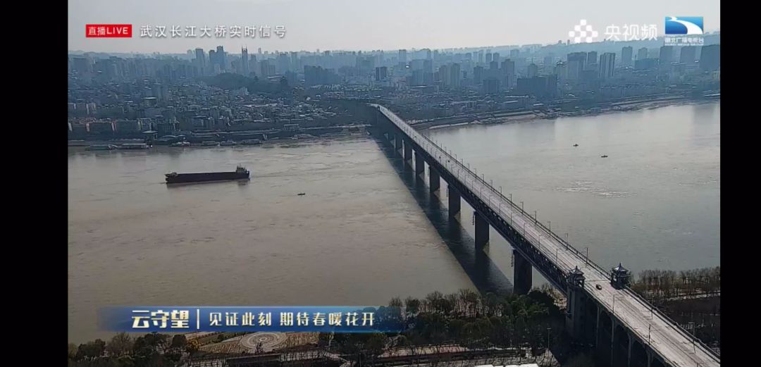 “云监工”变“云守望” 守护和见证一座城市的复苏