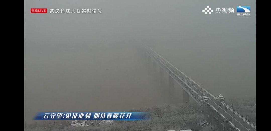 “云监工”变“云守望” 守护和见证一座城市的复苏