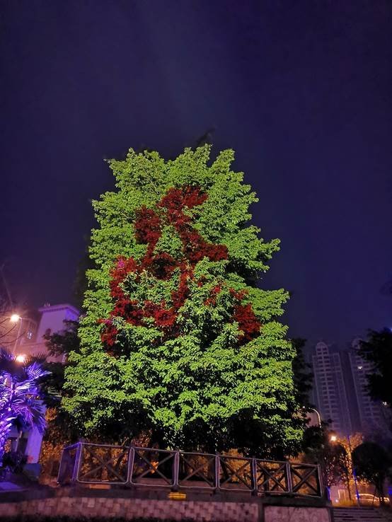 又逢元宵佳节时 NEC英雄打造光影“魔树”扮靓蓉城不夜天