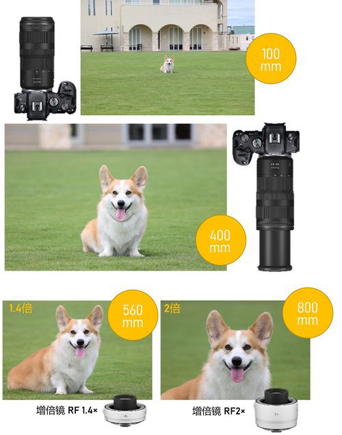 兼顾小型轻量化与高画质 佳能发布RF100-400mm和RF16mm F2.8 STM