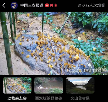 关注|生物多样性保护上升为国家战略,5G、慢直播、视频彩铃将如何发挥作用?