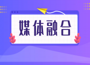 广电媒体融合体制机制改革主要进展和经验