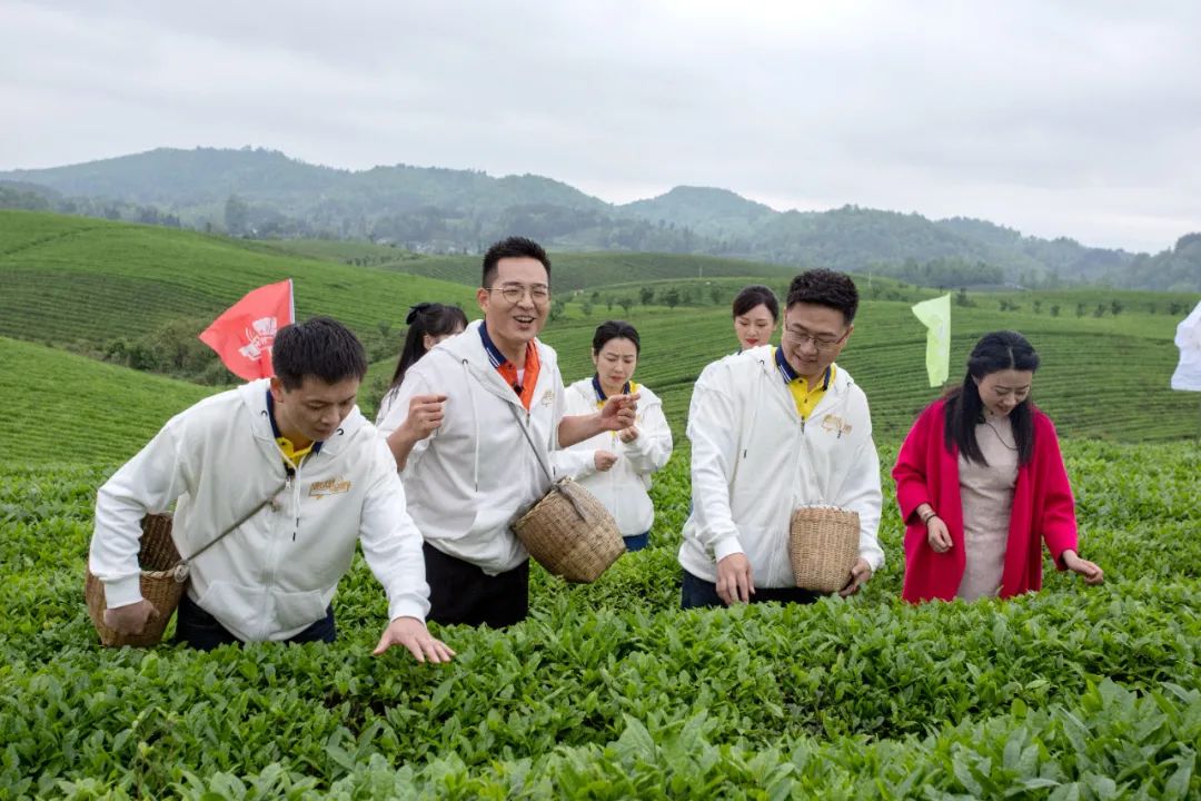 贵州广播电视台台长王先宁:深化改革,全力以赴推进媒体深度融合发展