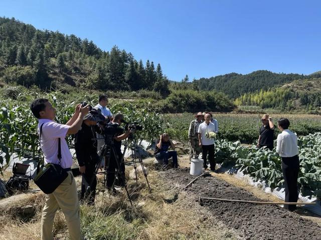 福建省广播影视集团融媒体资讯中心乡村振兴公共频道获中宣部表彰