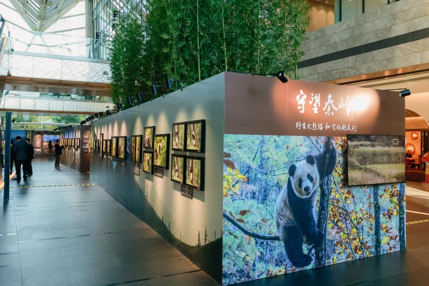 “守望秦岭——野生大熊猫和它的朋友们”大型公益摄影展开幕