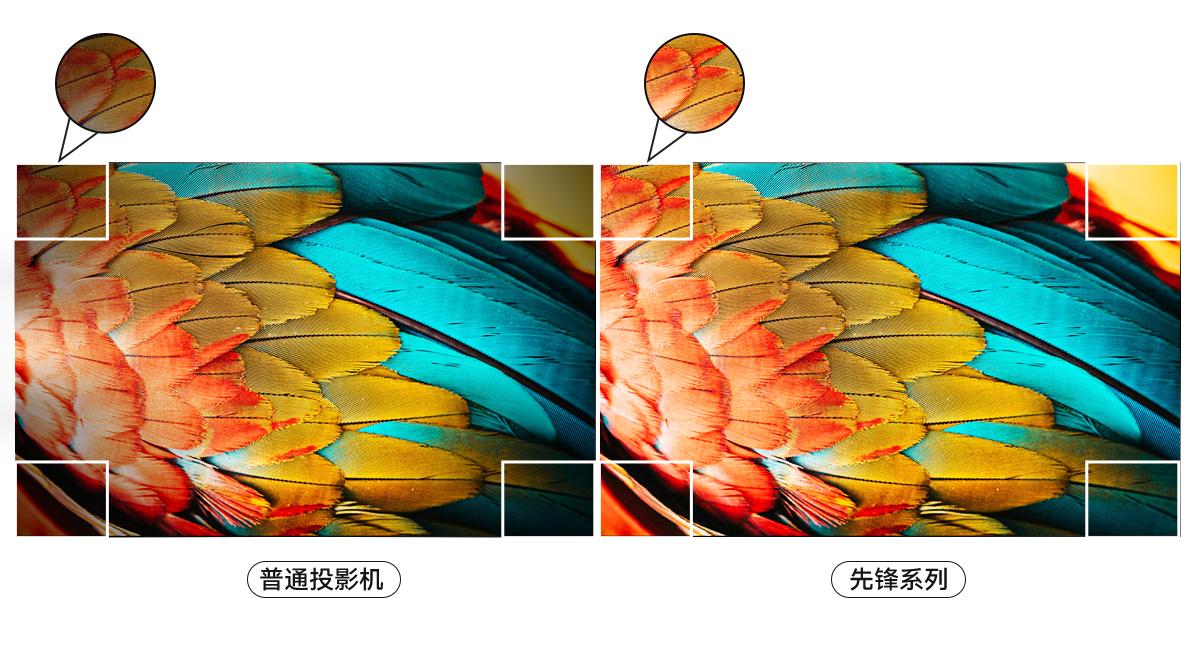 先声夺人，锋芒闪耀！SHARP MultiSync先锋系列4K激光投影机横空出世