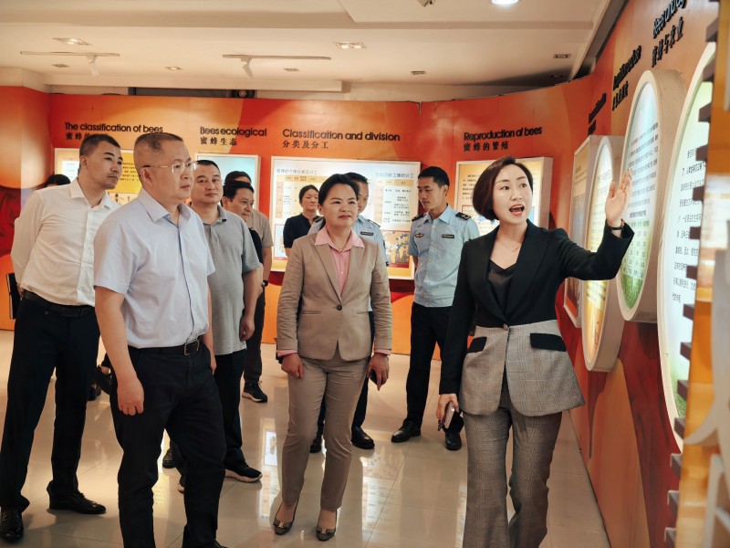 市领导莅临明园蜂业考察，共话食品安全与行业高质量发展
