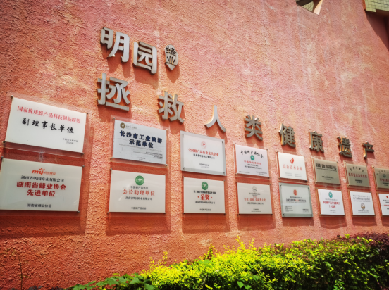 二十七载酿就甜蜜事业，明园蜂业匠心坚守品质与向善之路