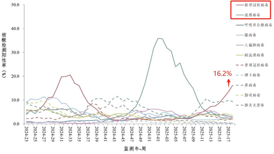 端午小长假遇上病毒高发季，这份防护指南请收好