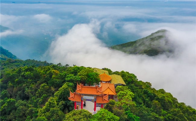 从观音山打造岭南旅游名片的蓝图  看地方文旅如何逆袭