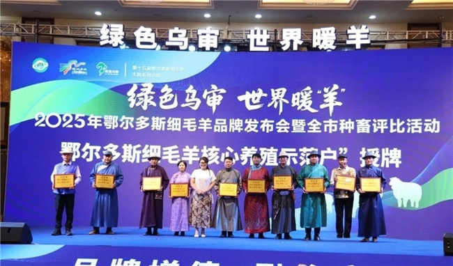 鄂尔多斯细毛羊品牌发布会暨全市种畜评比活动启幕