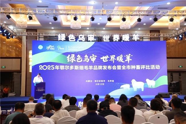 鄂尔多斯细毛羊品牌发布会暨全市种畜评比活动启幕