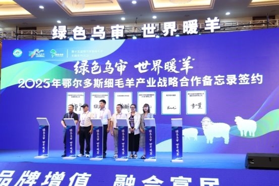 鄂尔多斯细毛羊品牌发布会暨全市种畜评比活动启幕