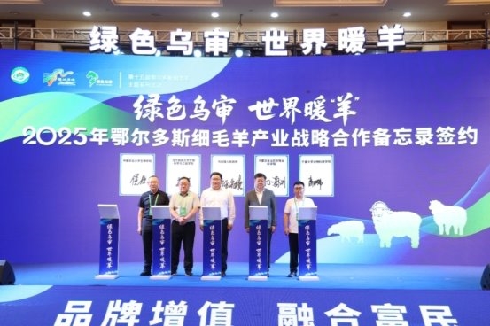 鄂尔多斯细毛羊品牌发布会暨全市种畜评比活动启幕