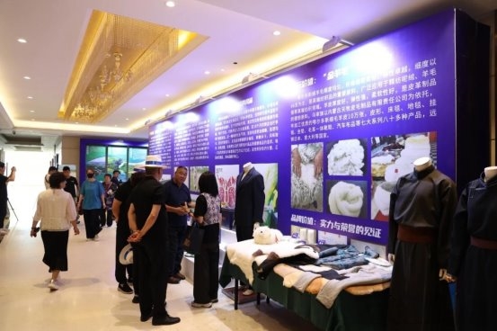鄂尔多斯细毛羊品牌发布会暨全市种畜评比活动启幕