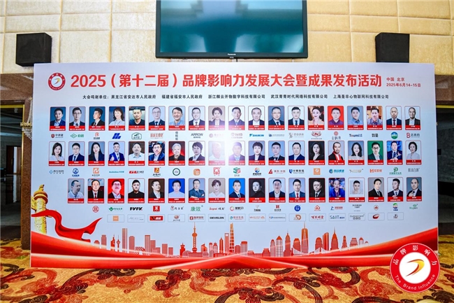 荣膺双项重磅大奖！丽减美瘦吧斩获2025品牌影响力百强殊荣