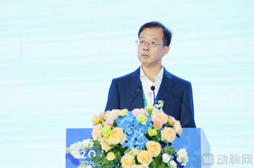 2025数字疗法大会盛大开幕，海南数字疗法创新岛加速腾飞