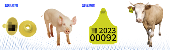 RFID技术全场景渗透：重构千行百业智能运营逻辑