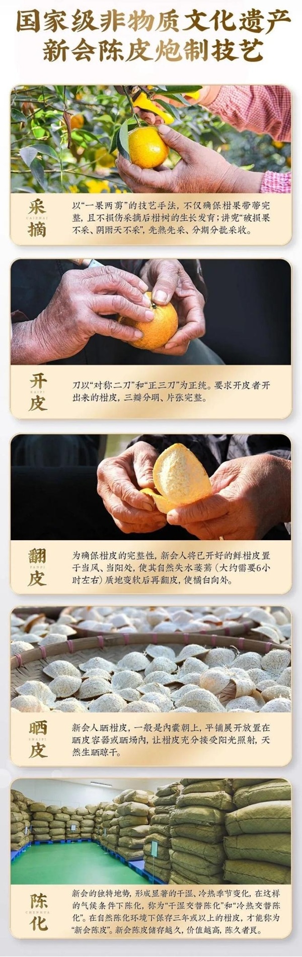 新宝堂陈皮携手CCTV-7国防军事频道，热烈庆祝抗战胜利80周年！