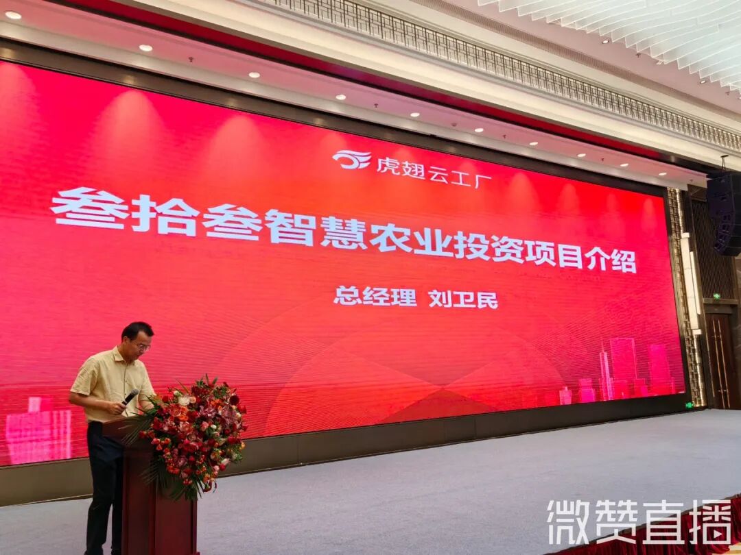 8月虎翅云 “招商投资对接大会” ，30多投资项目发布，一批项目签约！
