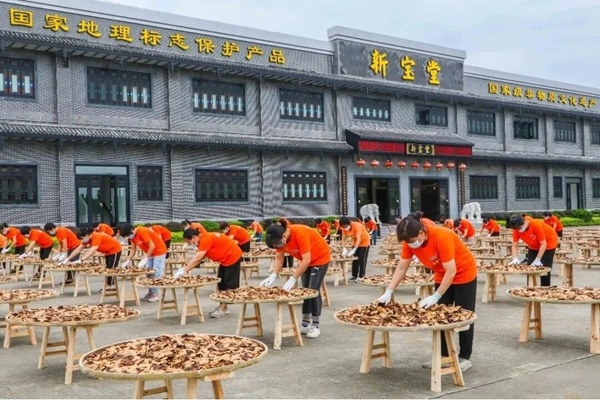 新宝堂陈皮携手CCTV-7国防军事频道，热烈庆祝抗战胜利80周年！