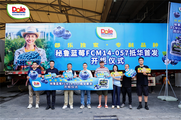 都乐首柜秘鲁蓝莓FCM14-057品种抵华，革新高端水果市场