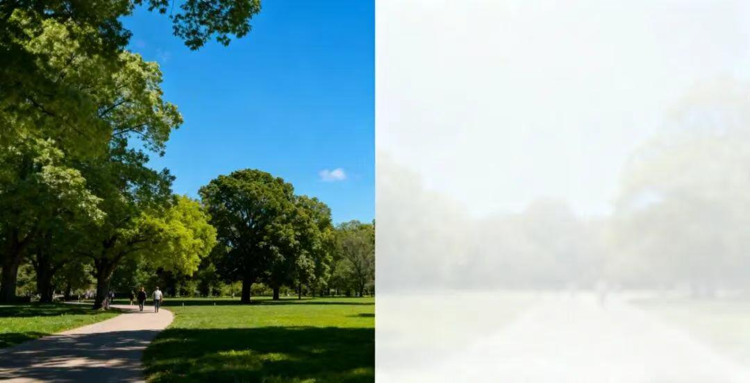 无惧时光守护银龄|十一月启冬护视界！南昌普瑞白内障防治指南：让「飞白」为清晰护航