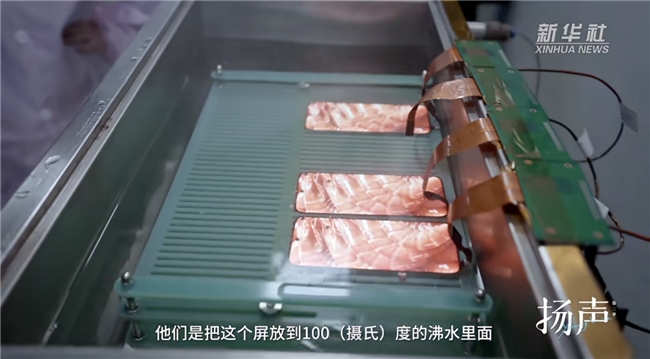 全球高世代产线竞速：维信诺 ViP 技术如何帮中国抢占先机