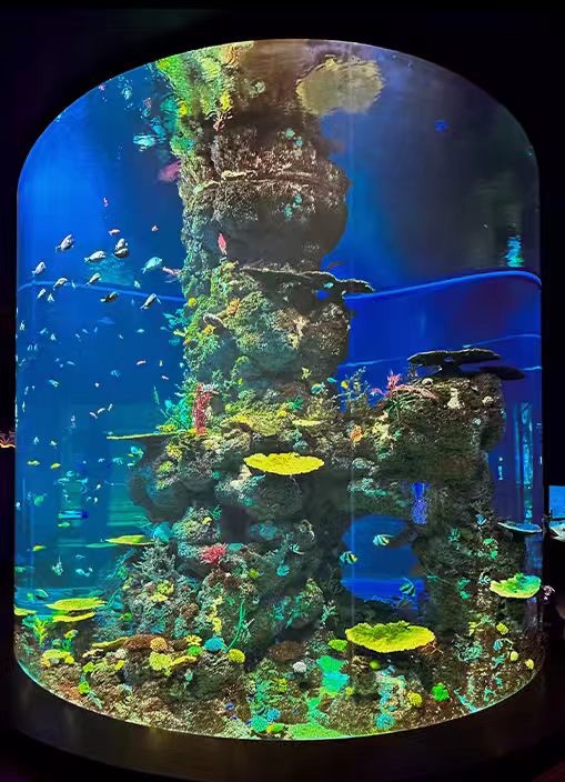 2026年仿真水族饰品厂家榜单推荐，广东源头厂家综合实力上榜